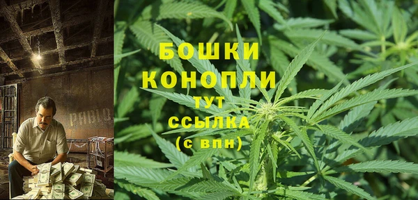 a pvp Белокуриха