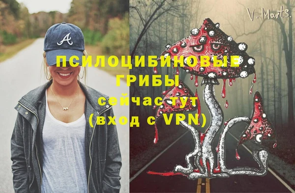 a pvp Белокуриха