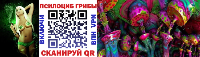 Псилоцибиновые грибы Magic Shrooms  даркнет сайт  мориарти клад  Болохово 